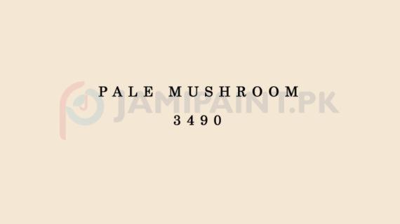 Berger Allrounder Matt Enamel - Pale Mushroom 3490