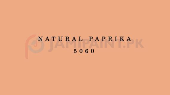 Berger Allrounder Matt Enamel - Natural Paprika 5060