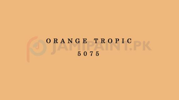 Berger Allrounder Matt Enamel - Orange Tropic 5075