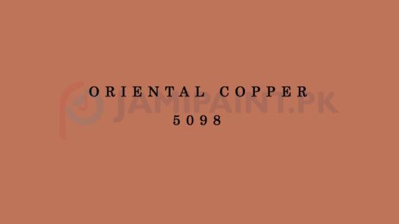 Berger Allrounder Matt Enamel - Oriental Copper 5098