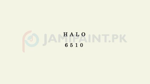 Berger Allrounder Matt Enamel - Halo 6510
