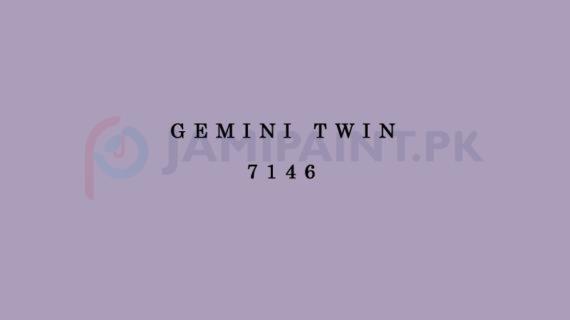 Berger Allrounder Matt Enamel - Gemini Twin 7146