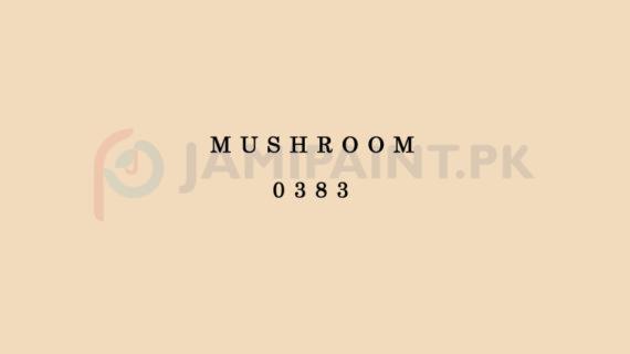 Berger NU Emulsion - Mashroom 0383