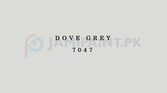 Berger NU Emulsion - Dove Grey 7047
