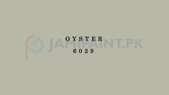 Berger Synthetic Enamel - Oyster 6029