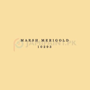 Berger Top Class Emulsion - Marsh Merigold 10293