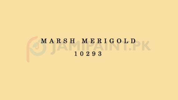 Berger Top Class Emulsion - Marsh Merigold 10293