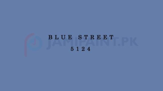 Berger Top Class Emulsion - Blue Street 5124