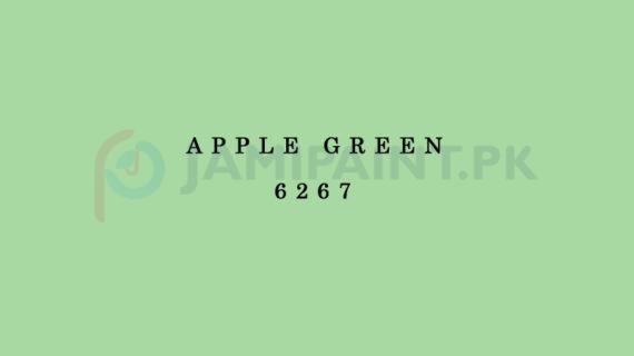Berger Top Class Emulsion - Apple Green 6267