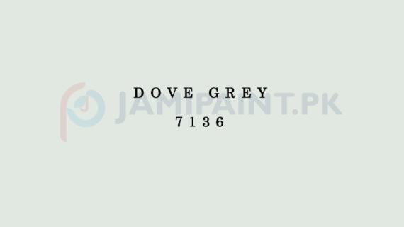 Berger Top Class Emulsion - Dove Grey 7136