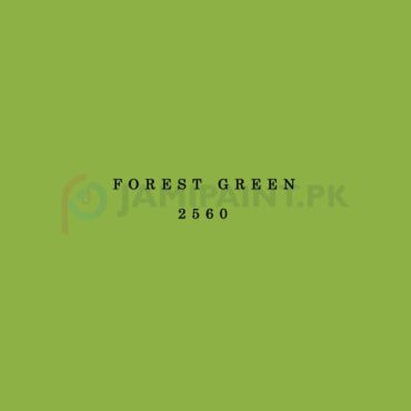 Berger VIP Super Gloss Enamel - Forest Green 2560
