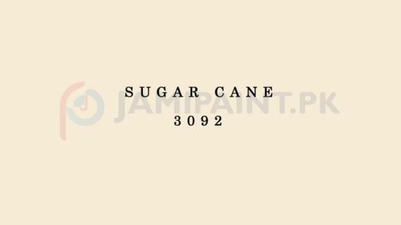 Berger Weathercoat - Sugar Cane 3092