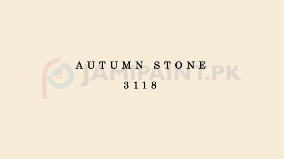 Berger Weathercoat - Autumn Stone 3118