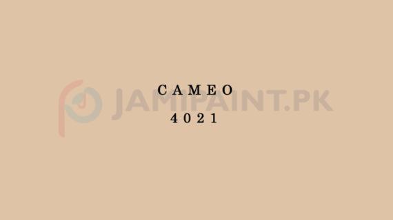 Berger Weathercoat - Cameo 4021