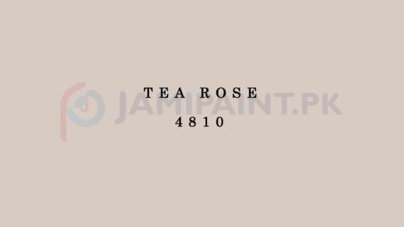 Berger Weathercoat - Tea Rose 4810