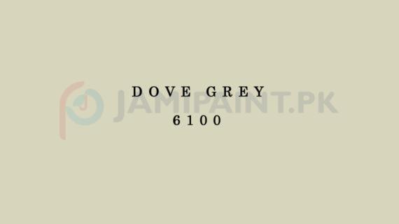 Berger Weathercoat - Dove Grey 6100