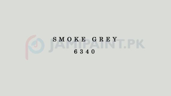 Berger Weathercoat - Smoke Grey 6340