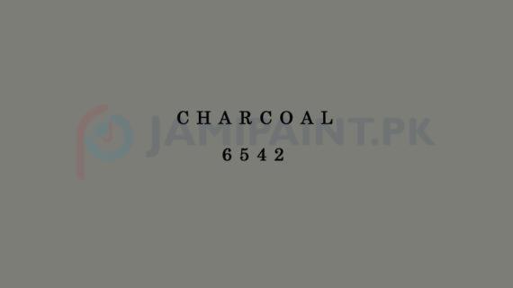 Berger Weathercoat - Charcoal 6542