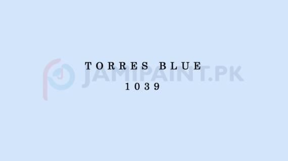 Weldon Matt Enamel Torres Blue 1039