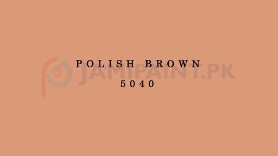 Weldon Matt Enamel Polish Brown 5040