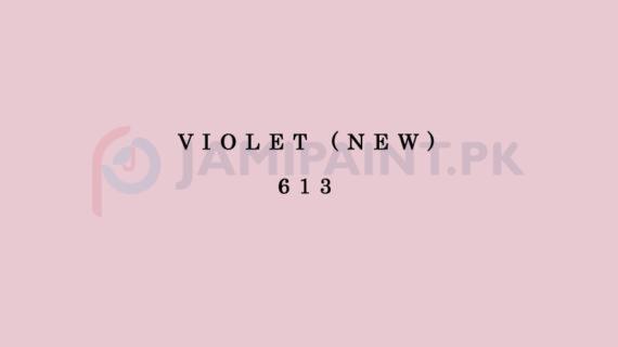 Weldon Semi Plastic Emulsion Violet 613