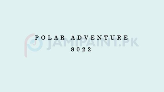 Weldon Silk Decor Polar Adventure 8022