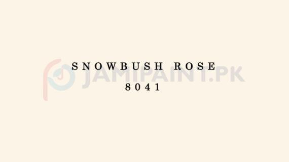 Weldon Silk Decor Snowbush Rose 8041