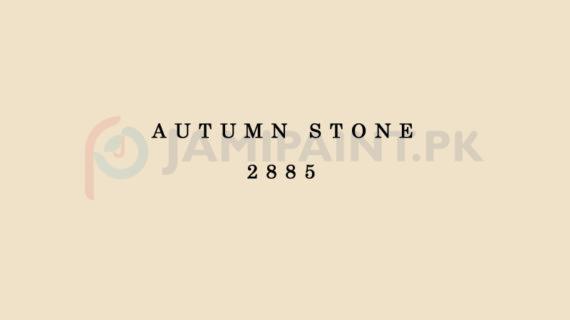 Weldon Weather Shield Plus Autumn Stone 2885