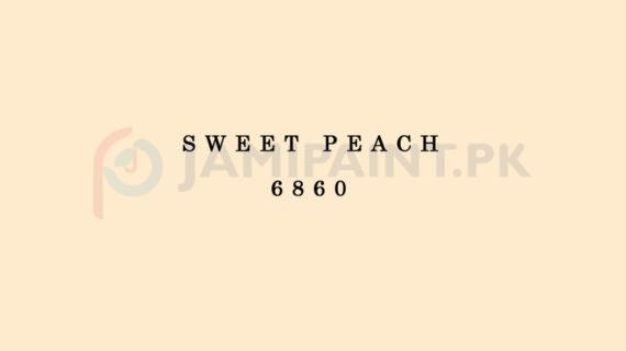 Weldon Weather Shield Plus Sweet Peach 6860