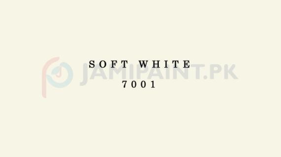 Weldon Weather Shield Plus Soft White 7001