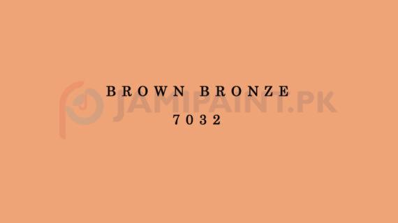 Weldon Weather Shield Plus Brown Bronze 7032