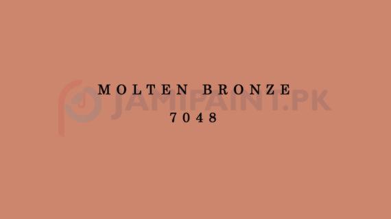 Weldon Weather Shield Plus Molten Bronze 7048