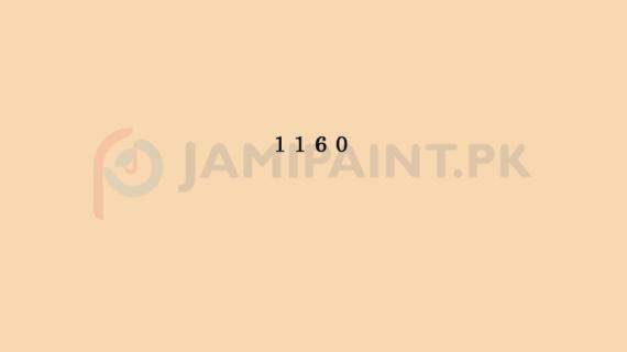 Jotun Jotashield 576 Shade Card - 1160