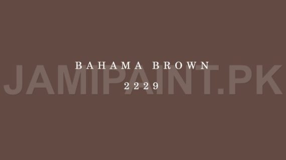 Kansai Gloss Enamel BAHAMA BROWN-2229