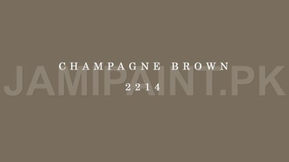 Kansai Gloss Enamel CHAMPAGNE BROWN-2214
