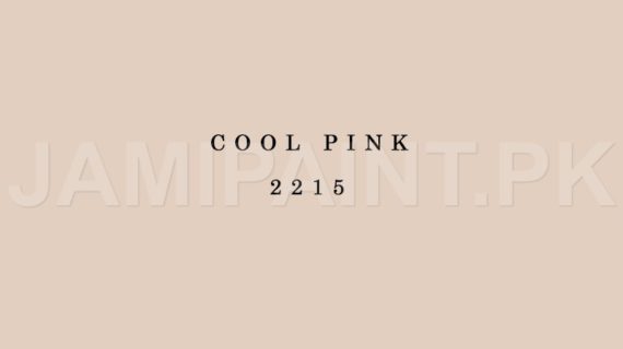 Kansai Gloss Enamel COOL PINK-2215