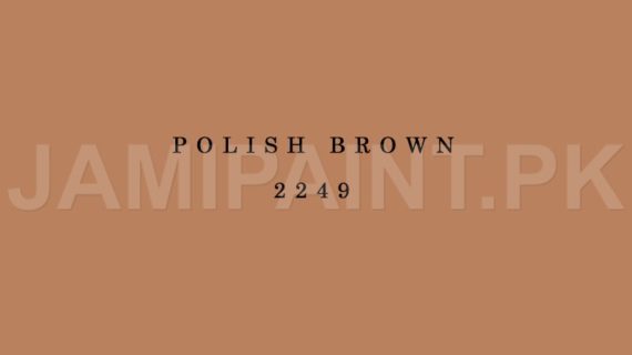 Kansai Gloss Enamel POLISH BROWN-2249