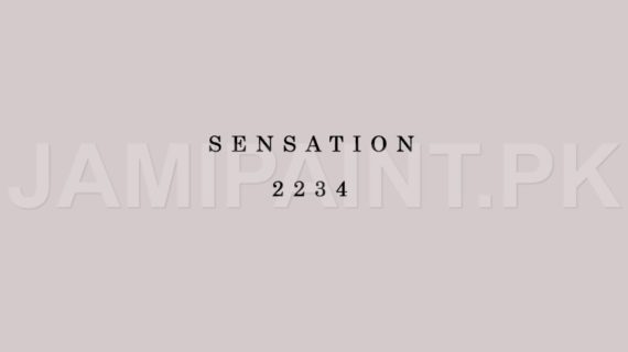 Kansai Gloss Enamel SENSATION-2234