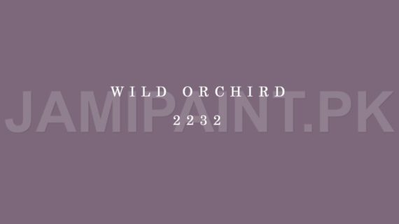 Kansai Gloss Enamel WILD ORCHIRD-2232