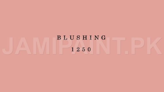 Kansai Interior Emulsion BLUSHING-1250