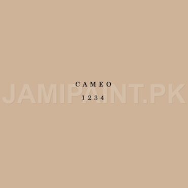 Kansai Interior Emulsion CAMEO-1234