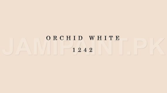 Kansai Interior Emulsion ORCHID WHITE-1242