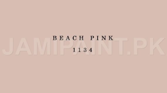 Kansai Premium Interior Emulsion BEACH PINK-1134