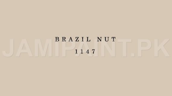 Kansai Premium Interior Emulsion BRAZIL NUT-1147