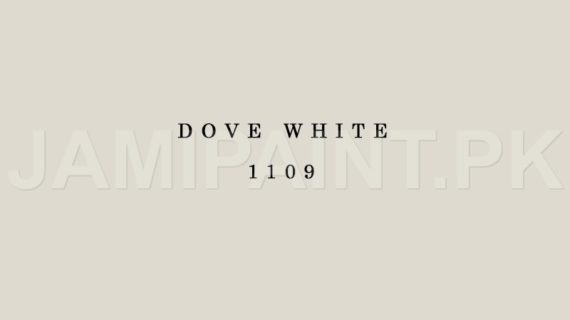 Kansai Premium Interior Emulsion DOVE WHITE-1109