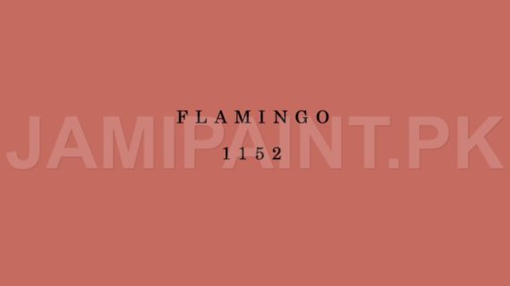 Kansai Premium Interior Emulsion FLAMINGO-1152