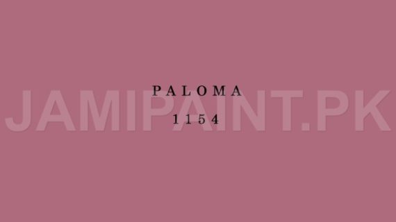 Kansai Premium Interior Emulsion PALOMA-1154