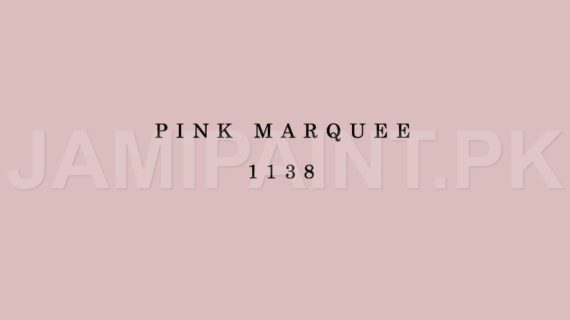 Kansai Premium Interior Emulsion PINK MARQUEE-1138