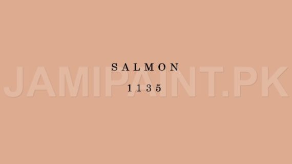 Kansai Premium Interior Emulsion SALMON-1135