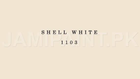 Kansai Premium Interior Emulsion SHELL WHITE-1103